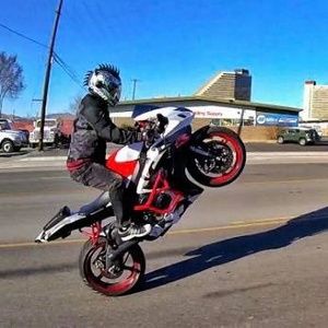 Meet your Posher, Ricco